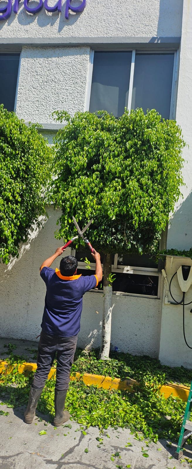 Jardinería y Mantenimiento