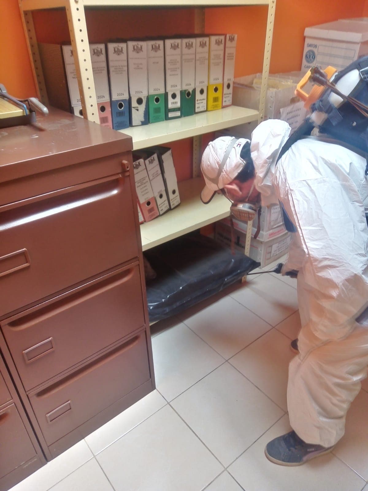 Limpieza de archivos y oficinas